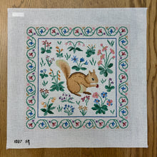  Cluny Squirrel - 13 mesh