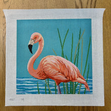  Flamingo - 13 mesh