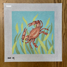  Seaweed Crab, 13" Square - 13 mesh
