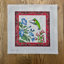  Hummingbirds At Morning Glories - 13 mesh
