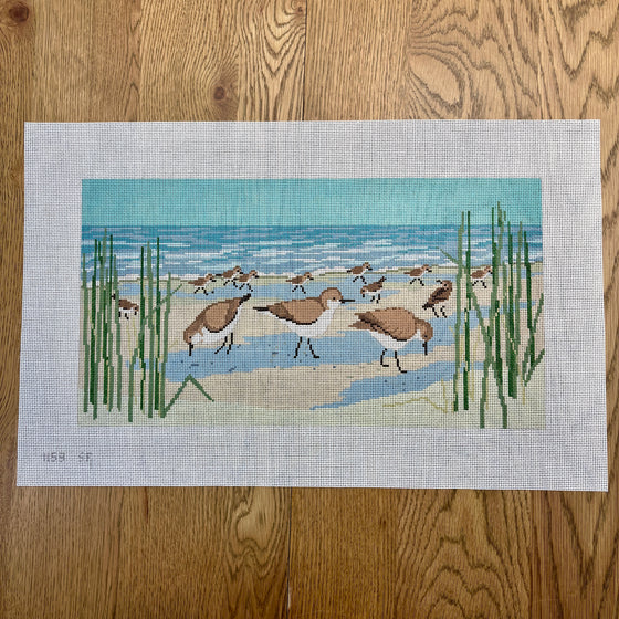 Sanderlings - 13 mesh
