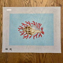  Tulip Shell with Coral - 13 mesh