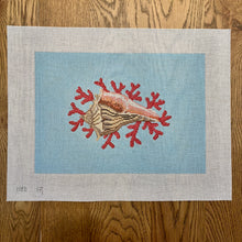 Whelk Shell with Coral - 13 mesh