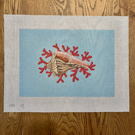 Whelk Shell with Coral - 13 mesh