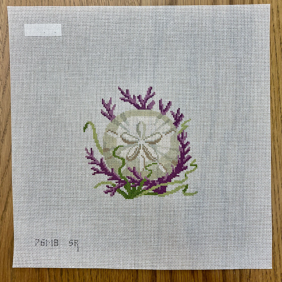 Sand Dollar, 5" Square - 18 mesh