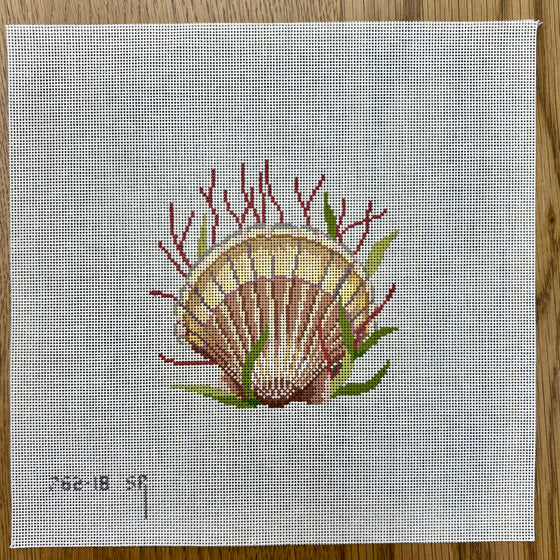 Sea Scallop, 5" Square - 18 mesh