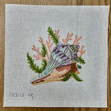  Lightning Whelk, 7" Square - 13 mesh