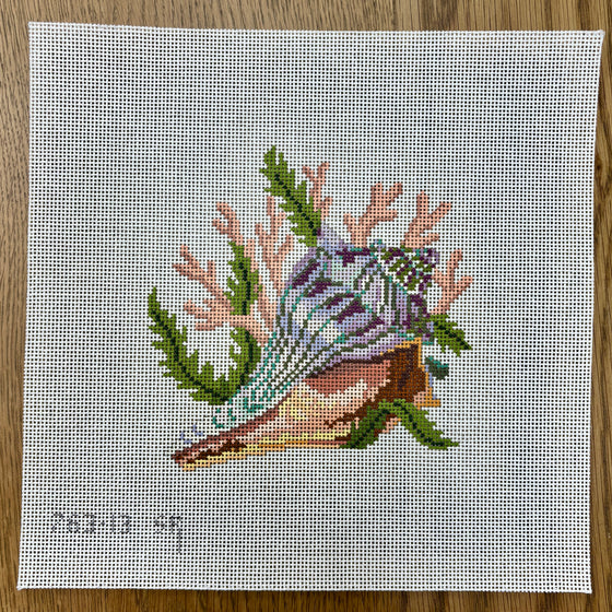 Lightning Whelk, 7" Square - 13 mesh