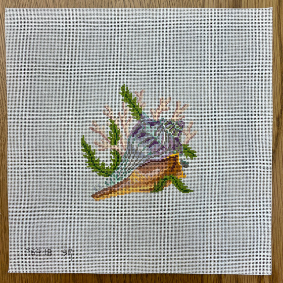 Lightning Whelk, 5" Square - 18 mesh