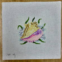  Queen Conch, 7" Square - 13 mesh