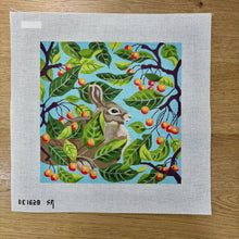  Rabbit in Bittersweet