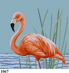  Flamingo - 13 mesh