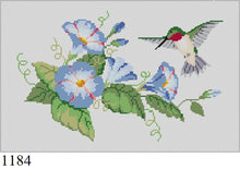  Morning Glories Hummingbird - 18 mesh